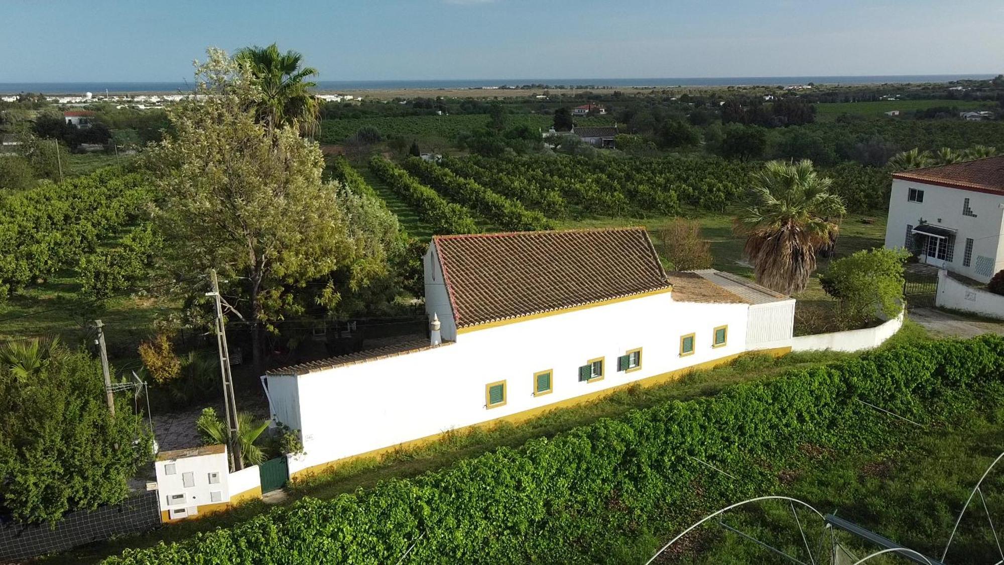 Quinta Rosa Branca Hotel Tavira Eksteriør billede