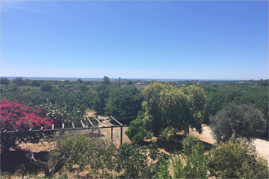 Quinta Rosa Branca Hotel Tavira Eksteriør billede